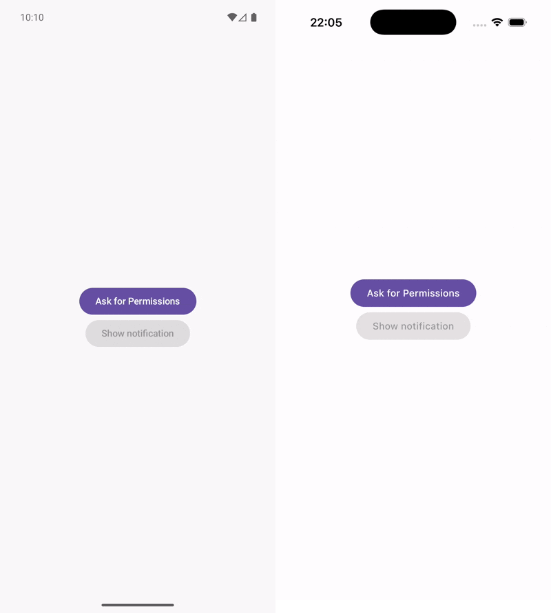 Marigolds in container garden